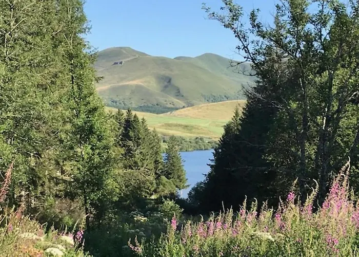 Apartment Mont-dore Centre: Bel T2 Au Pied Des Thermes Avec Wifi - Fr-1-608-241 *